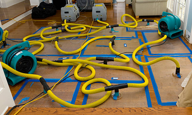 Professional Water Damage Repair technician working in Drexel, OH